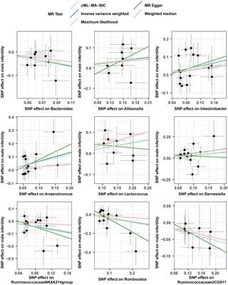 Male infertility risk and gut microbiota: a Mendelian randomization study